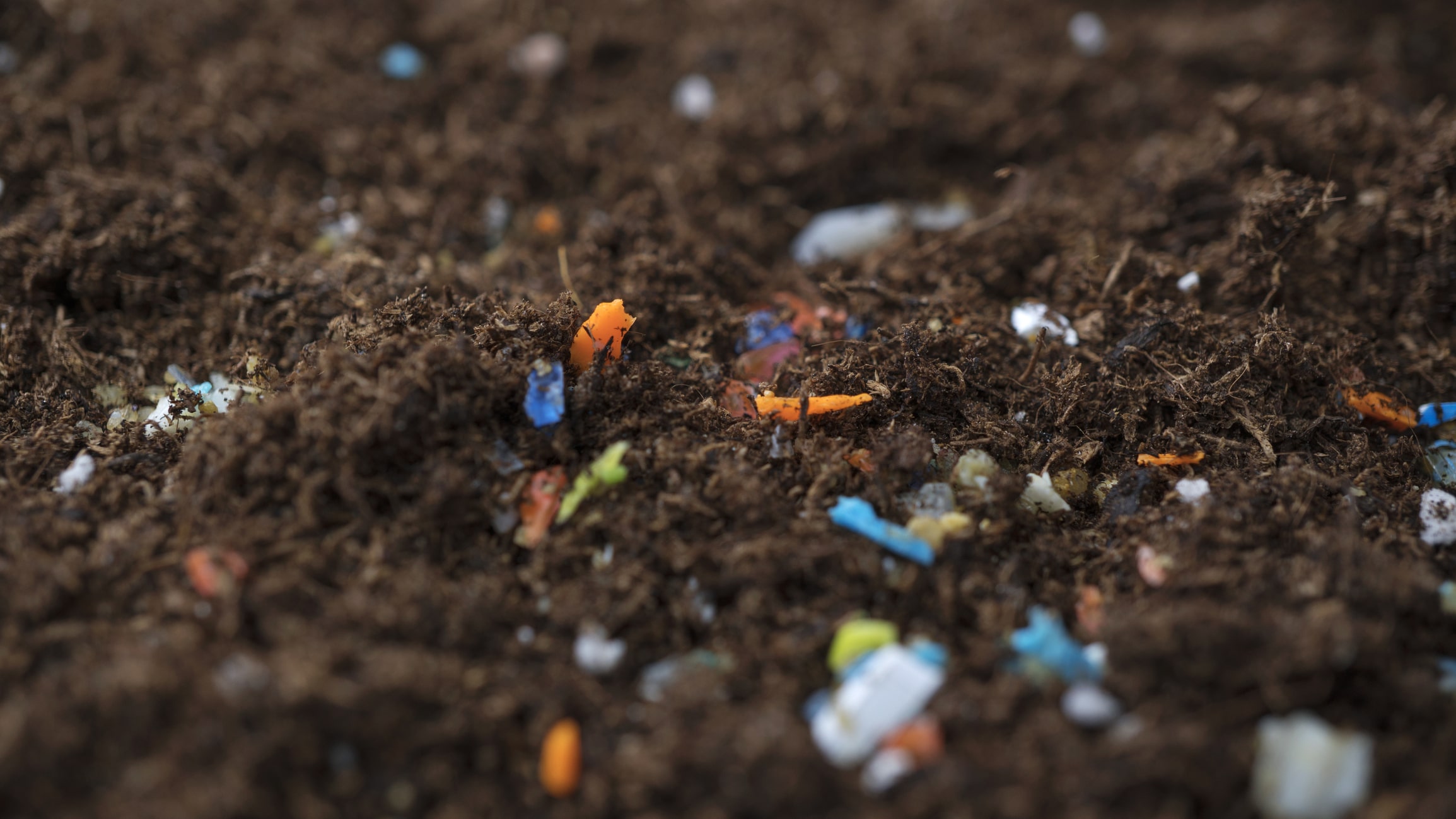 Environmental Impact of Microplastics