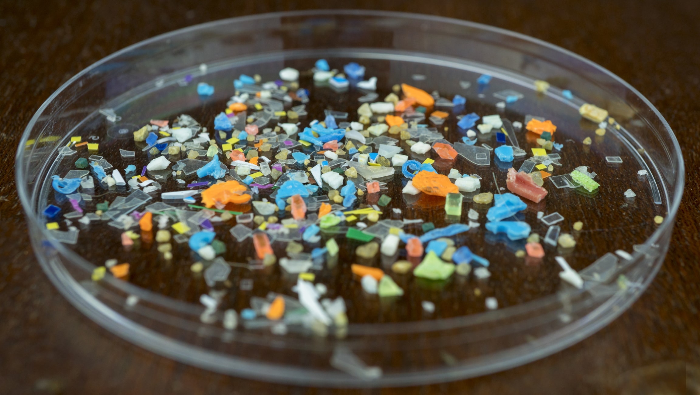 Modelling Microplastics